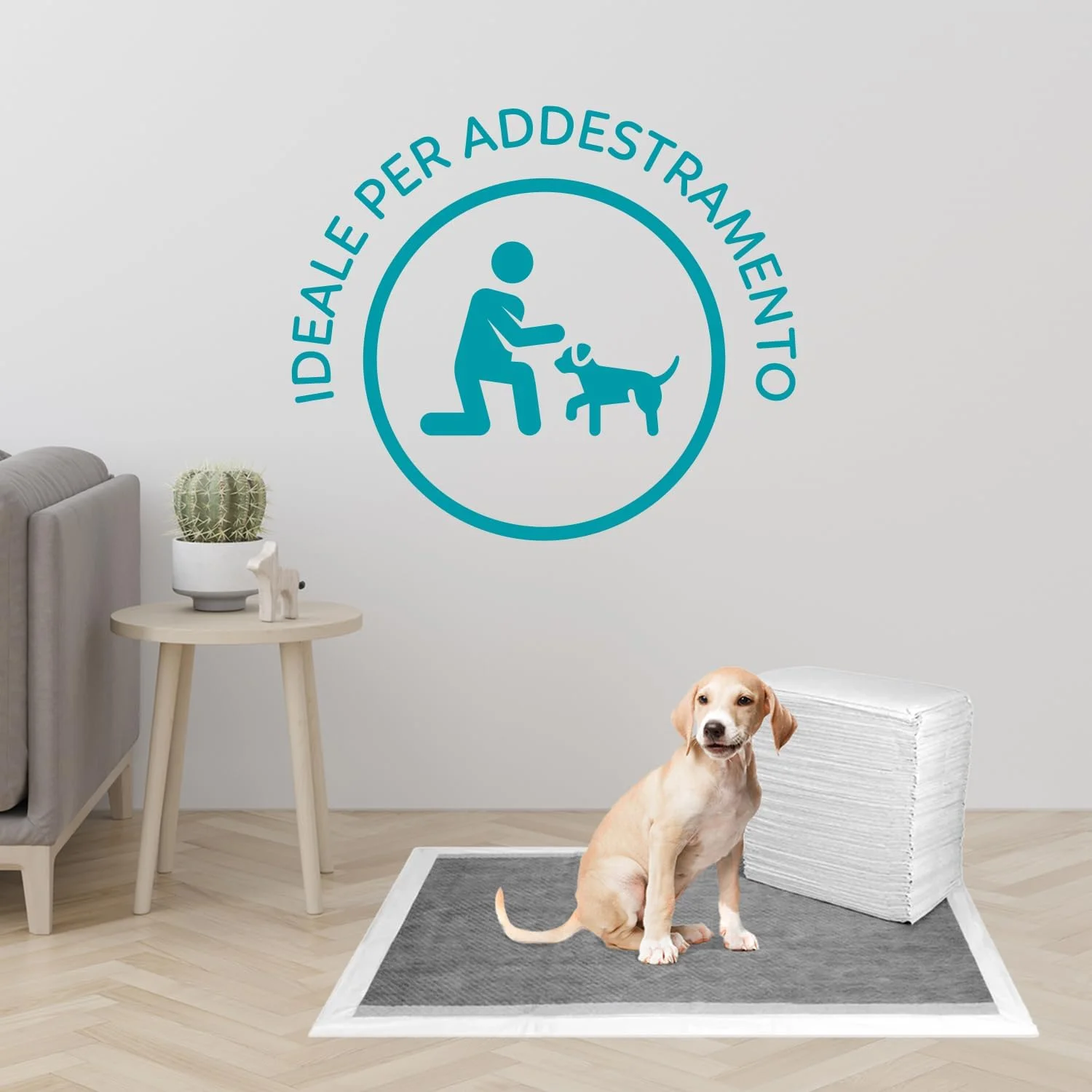 پد بهداشتی جاذب AQPET 200 عددی با کربن فعال برای سگ ها، حیوانات و توله سگ ها، مقاوم در برابر بو، 60x90 سانتی متر