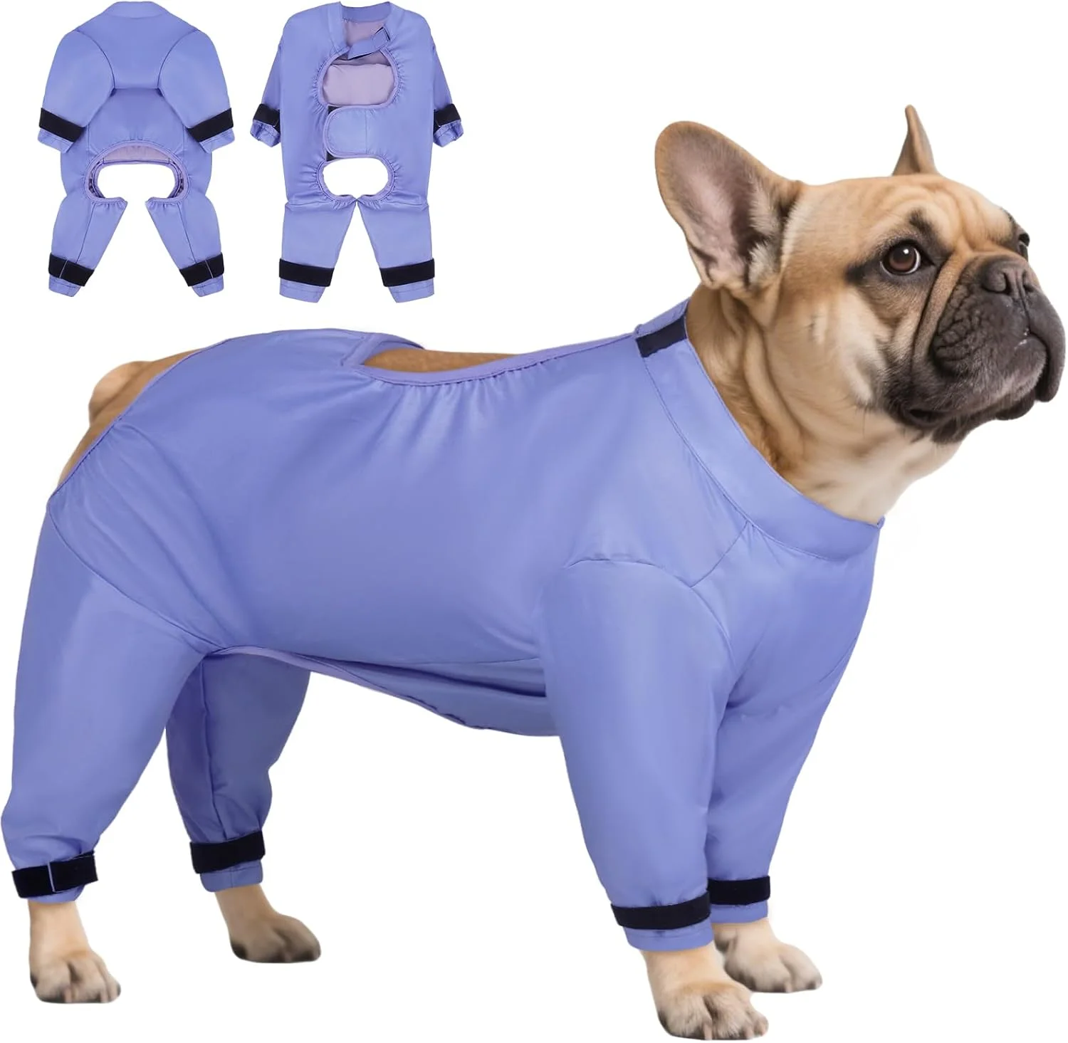 لباس محافظ شکم سگ، ضد آلودگی