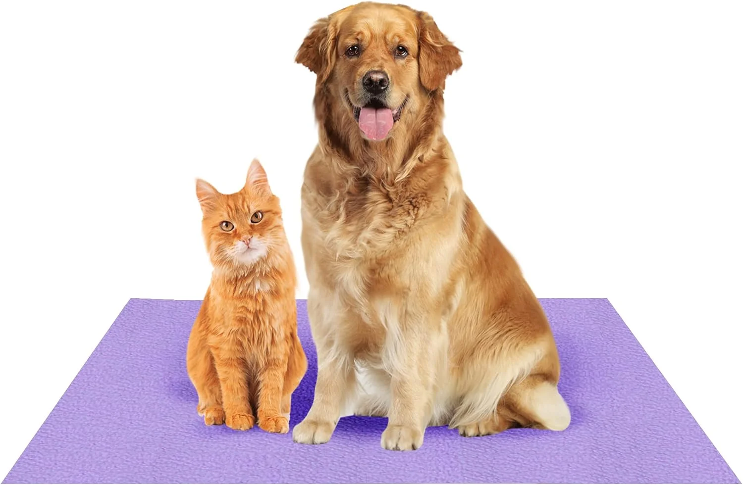 ملحفه تخت سگ Amorite ضد آب، قابل استفاده مجدد و شستشو برای محافظت از تخت (100cm X 140cm) بنفش