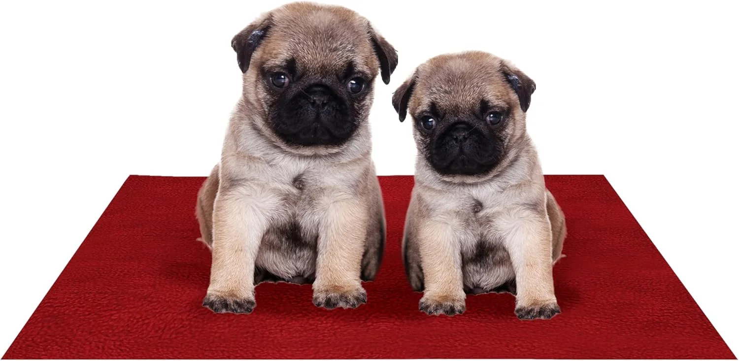 پد آموزشی ضد آب، قابل شستشو و استفاده مجدد حیوانات خانگی سایز کوچک (50cm X 70cm) زرشکی