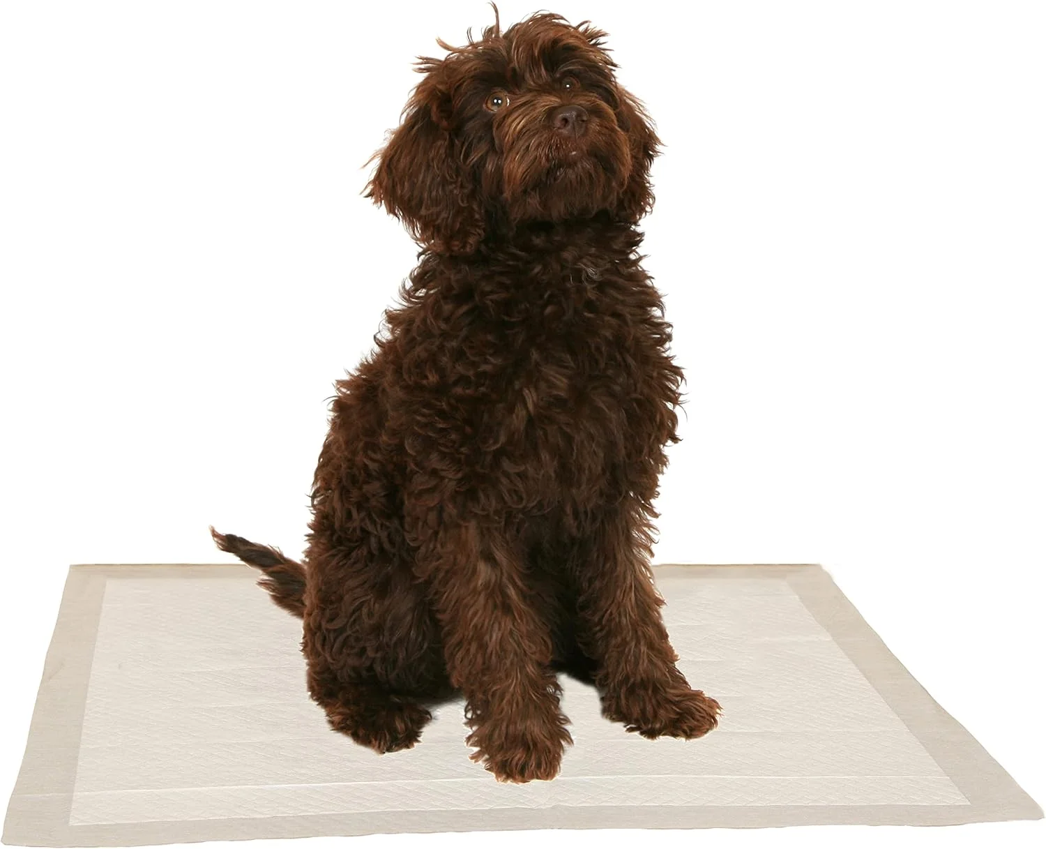 پدهای آموزشی سگ و توله سگ Animal Instincts، ضد نشت، طراحی 6 لایه با سطح خشک شونده سریع، 60 سانتی متر در 60 سانتی متر، 30 عدد