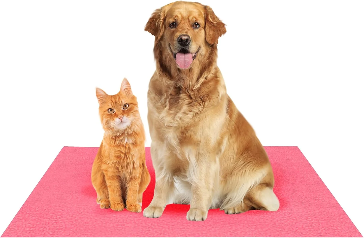 پد ضد آب، قابل شستشو و استفاده مجدد Amorite® و زیرانداز بهداشتی خشک حیوانات خانگی، مناسب آموزش جعبه سگ و محافظ صندلی خودرو برای سگ ها، گربه ها و همه حیوانات خانگی - سایز متوسط (70cm X 100cm) رنگ صورتی سالمون