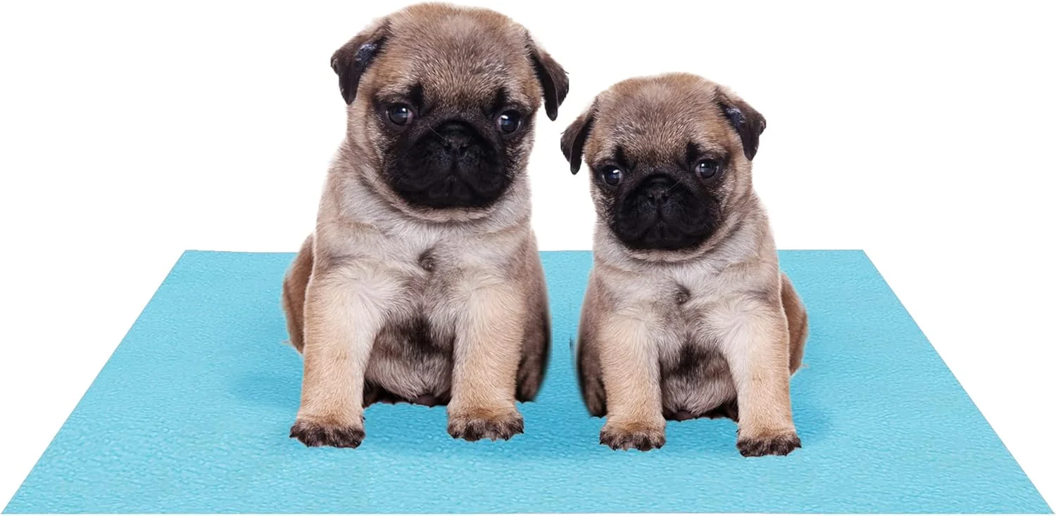 پدهای نخی قابل شستشو و ضد آب Amorite برای سگ ها (کوچک، آبی دریایی)