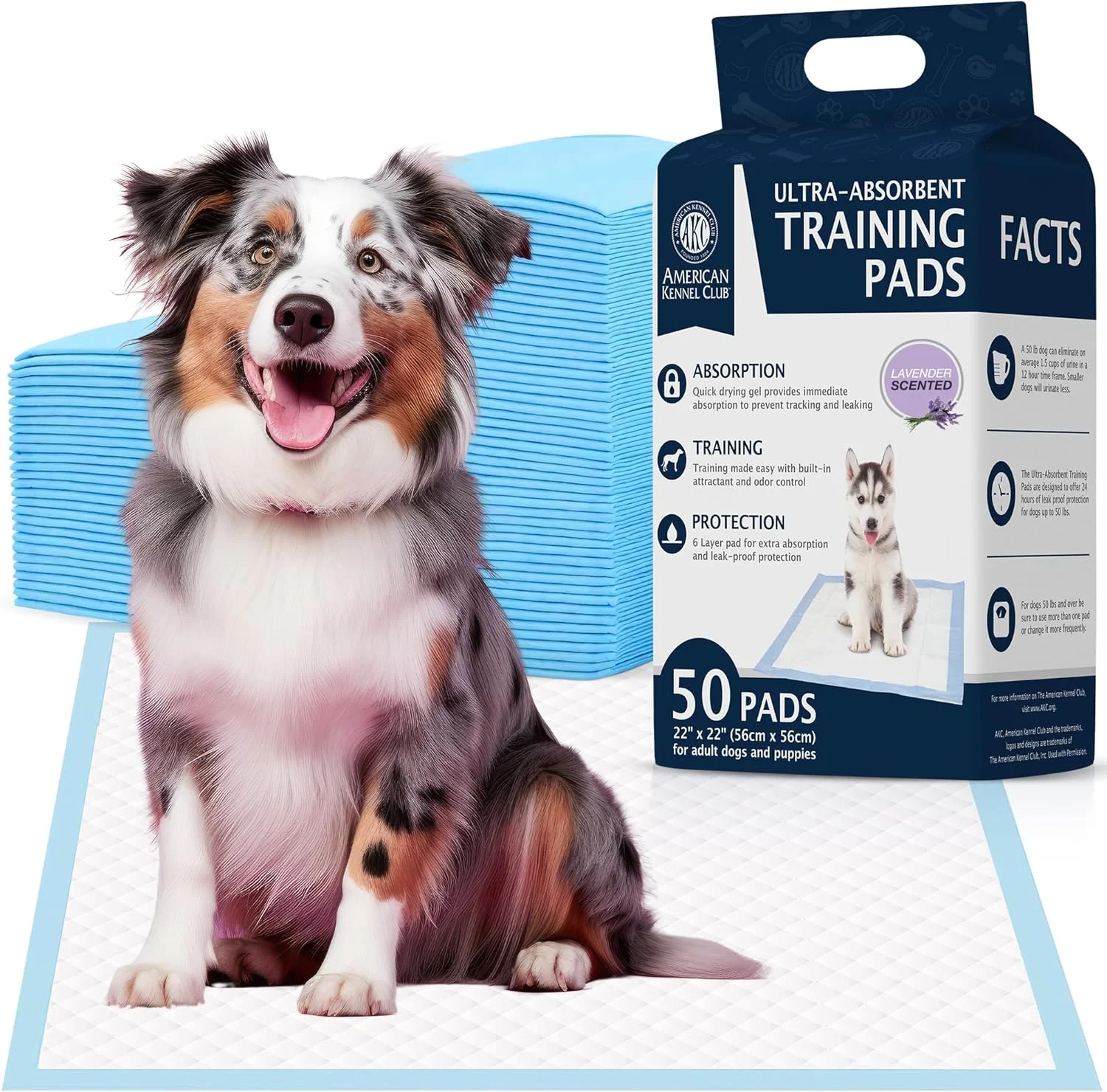 پدهای آموزشی سگ با رایحه انجمن سگ های آمریکا با ژل خشک شونده سریع و فوق العاده جاذب - پدهای ادرار 55x55 سانتی متر برای سگ ها - با رایحه اسطوخودوس - 50 عدد پدهای آموزشی سگ با رایحه انجمن سگ های آمریکا با ژل خشک شونده سریع و فوق العاده جاذب - پدهای ادرار 55x55 سانتی متر برای سگ ها - با رایحه اسطوخودوس - 50 عدد