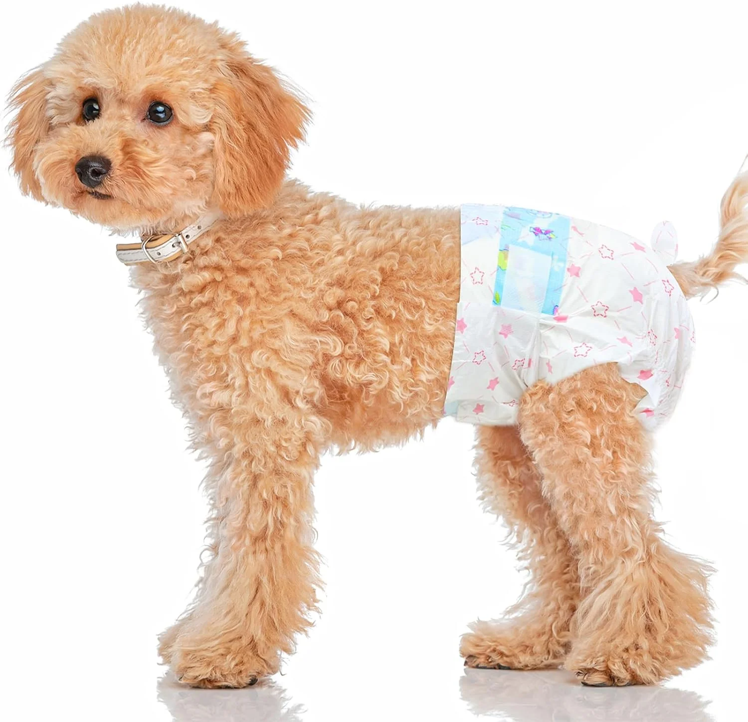 پوشک سگ آمبرویو، بسته 50 عددی، سایز کوچک