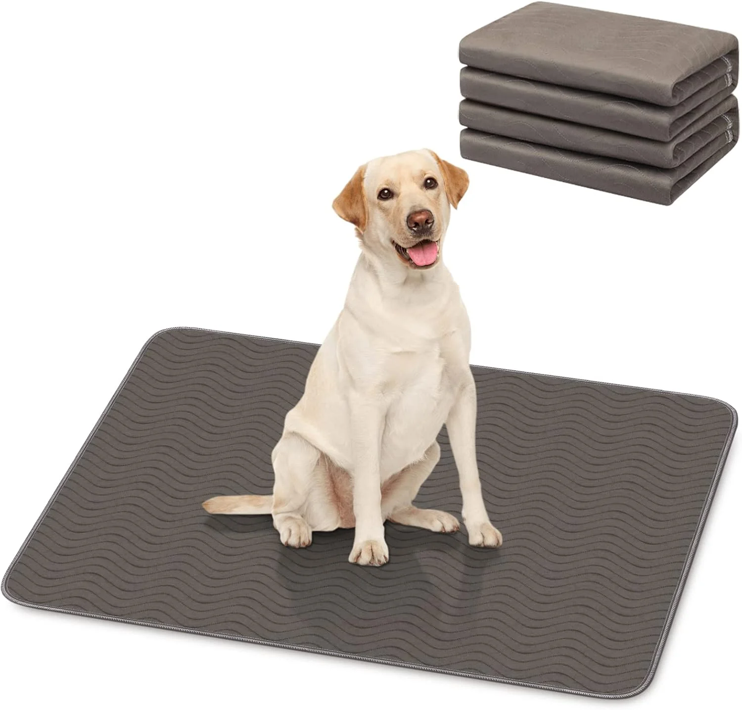 پد آموزشی سگ 120x90 سانتی‌متر، 2 تکه، قابل شستشو در ماشین لباسشویی، پد ادرار سگ فوق‌العاده جاذب برای بی‌اختیاری حیوانات خانگی