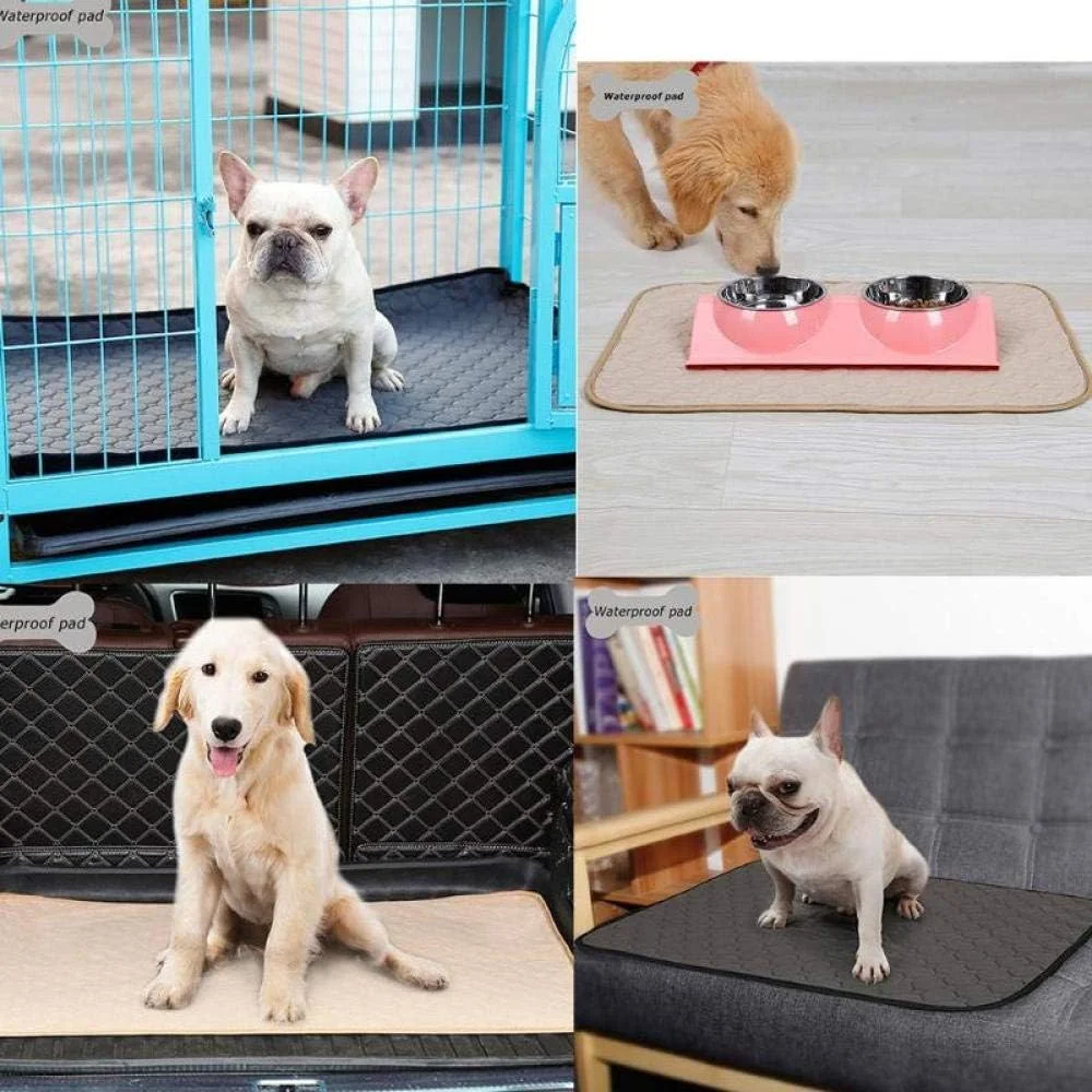 پد جاذب ادرار سگ و گربه ضد آب، پد آموزشی حیوانات خانگی، مناسب استفاده روزانه، عمر طولانی - بژ_M