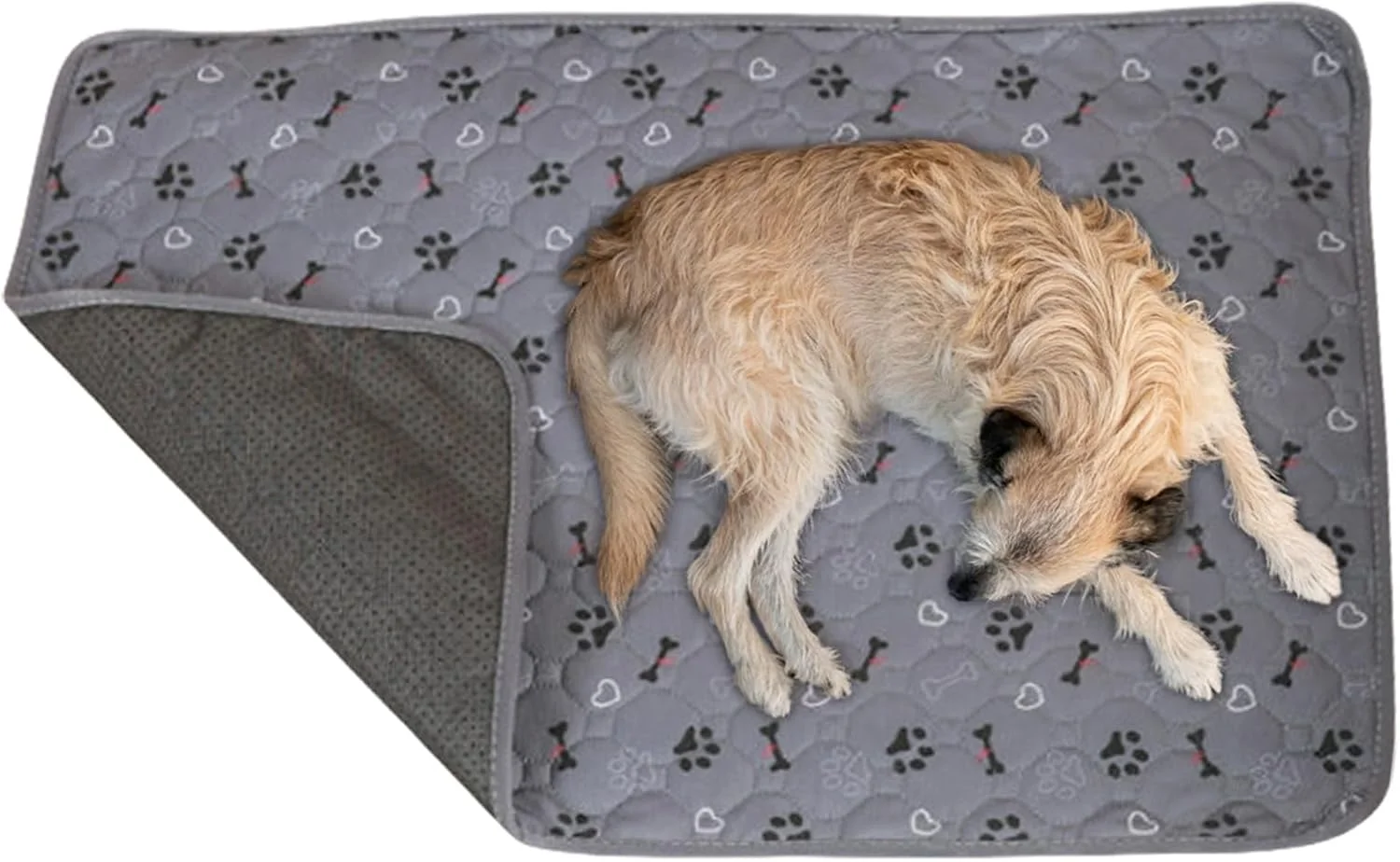 پدهای ادرار سگ، پد ادرار توله سگ | تشک قابل شستشو و جاذب، خشک شونده سریع و ضد لغزش برای خانه سالمندان، زندگی آپارتمانی و مراقبت از سالمندان