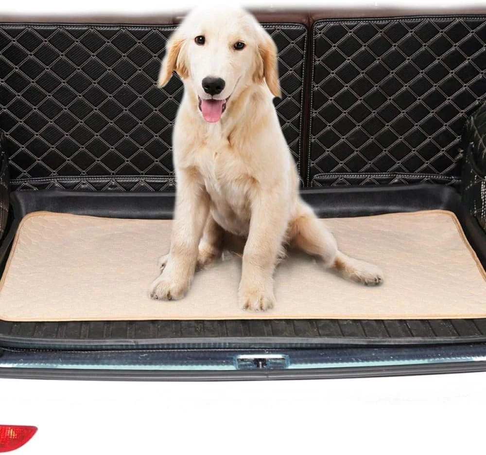 Pet Cat Dog Water Absorbency Diaper Sleeping Mat for Small Puppy Kitten Reusable Urine Absorbent Mat Training Pad Supplies-W_S