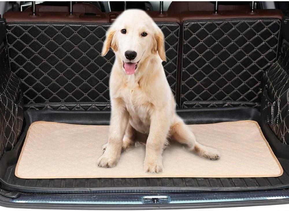 تشک خواب جاذب آب برای سگ کوچک، تشک جاذب ادرار سگ، پد آموزش ادرار توله سگ - بژ 60x45 سانتی متر تشک خواب جاذب آب برای سگ کوچک، تشک جاذب ادرار سگ، پد آموزش ادرار توله سگ - بژ 60x45 سانتی متر