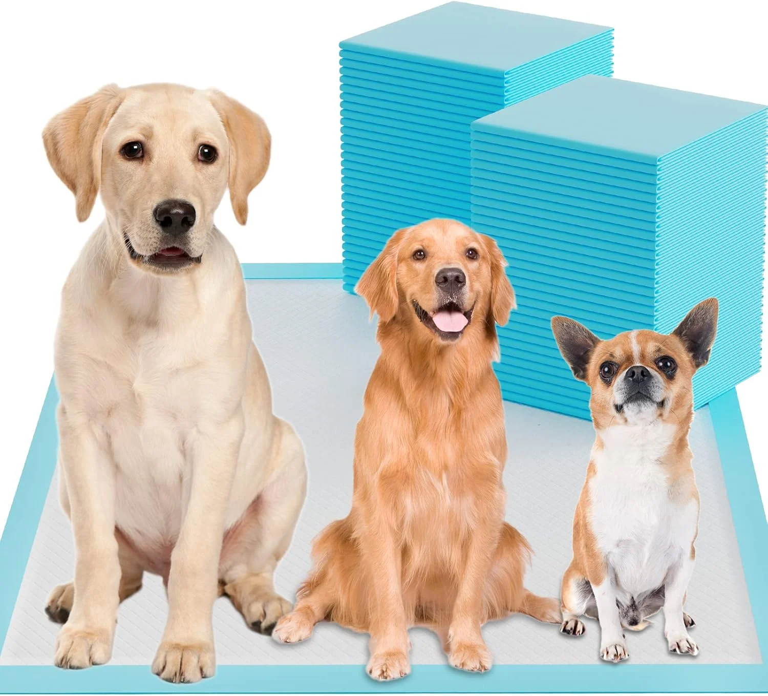 پدهای آموزشی سگ فوق جاذب بزرگ 80 در 90 سانتی متر، بسته 60 عددی، پدهای ادرار توله سگ، طراحی 6 لایه سنگین و ضد نشت برای آموزش دستشویی، سطح خشک شونده سریع. (80 در 90 سانتی متر)