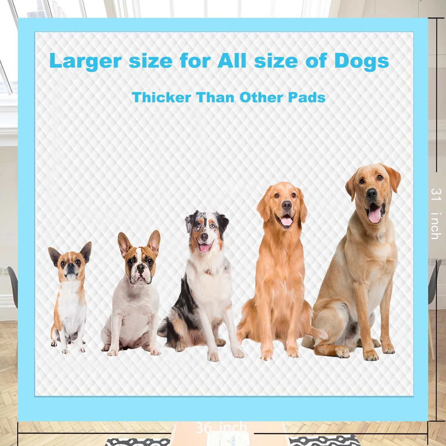 پدهای آموزشی سگ فوق جاذب بزرگ 80 در 90 سانتی متر، بسته 60 عددی، پدهای ادرار توله سگ، طراحی 6 لایه سنگین و ضد نشت برای آموزش دستشویی، سطح خشک شونده سریع. (80 در 90 سانتی متر) پدهای آموزشی سگ فوق جاذب بزرگ 80 در 90 سانتی متر، بسته 60 عددی، پدهای ادرار توله سگ، طراحی 6 لایه سنگین و ضد نشت برای آموزش دستشویی، سطح خشک شونده سریع. (80 در 90 سانتی متر)