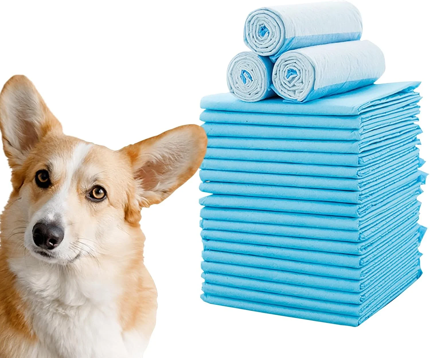 پدهای آموزشی حیوانات خانگی 6 لایه، پدهای فوق العاده جاذب و قفل کننده آب، سایز متوسط و بزرگ برای همه نژادهای حیوانات خانگی، پدهای با مواد نرم برای حیوانات خانگی شما (M)