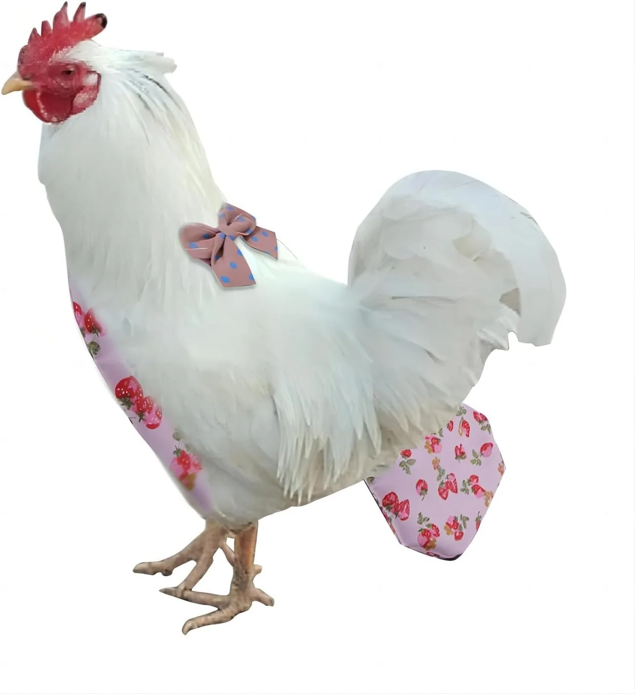 ست 5 تکه پوشک حیوانات خانگی مرغ، اردک و غاز - پوشک مخصوص فضولات مرغ، اردک و غاز - لباس حیوانات خانگی مرغ، اردک و غاز، لوازم نظافت ضد کثیفی ست 5 تکه پوشک حیوانات خانگی مرغ، اردک و غاز - پوشک مخصوص فضولات مرغ، اردک و غاز - لباس حیوانات خانگی مرغ، اردک و غاز، لوازم نظافت ضد کثیفی