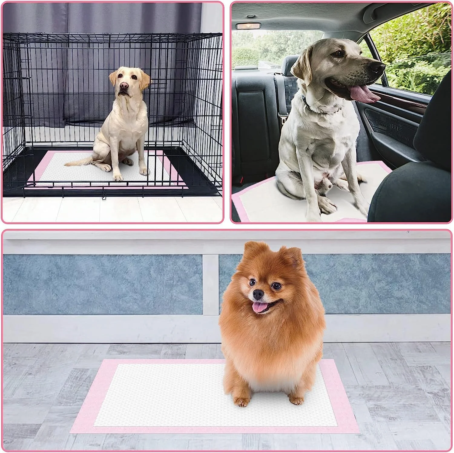 پد آموزشی سگ مامو بیر، بسته 80 عددی، پدهای ضخیم و ضد نشت سگ، پدهای یکبار مصرف فوق العاده جاذب حیوانات خانگی، پد ادرار سگ برای توالت، آموزش - 60 x 60 سانتی متر