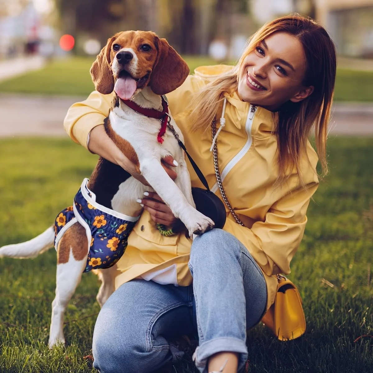 شورت بهداشتی سگ ماده Mumoo Bear - شورت قاعدگی قابل شستشو برای سگ های خانگی، پوشک حرارتی سگ قابل استفاده مجدد 3 عددی (طرح گل، سایز S) شورت بهداشتی سگ ماده Mumoo Bear - شورت قاعدگی قابل شستشو برای سگ های خانگی، پوشک حرارتی سگ قابل استفاده مجدد 3 عددی (طرح گل، سایز S)