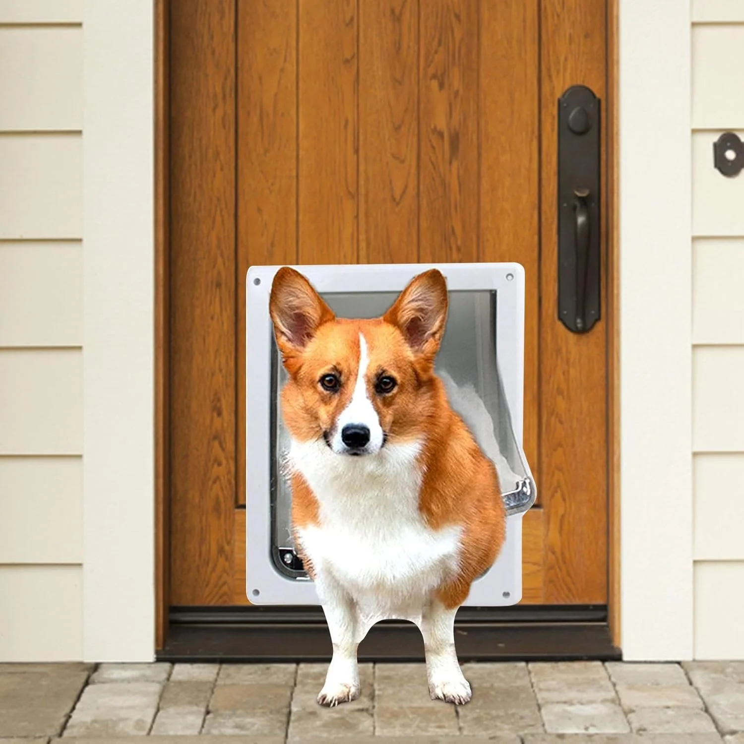 درب ورودی سگ، درب جایگزین ورودی گربه به دیوار، مقاوم در برابر آب و هوا، درب های شفاف جایگزین سگ برای لانه، دسترسی حیوانات خانگی برای توله سگ ها و بچه گربه ها
