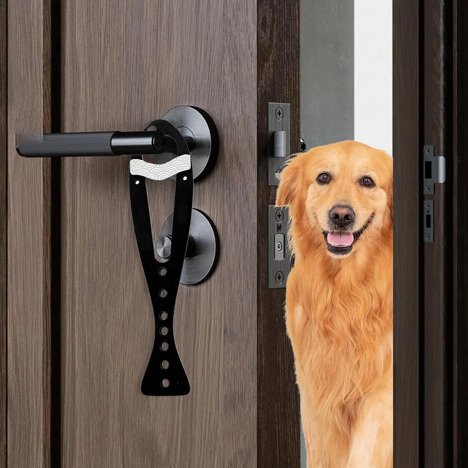 نگهدارنده درب گربه، استاپر درب، نگهدارنده درب برای باز نگه داشتن | مناسب برای اتاق نشیمن، اتاق خواب، بالکن، اتاق مطالعه، آپارتمان، خانه