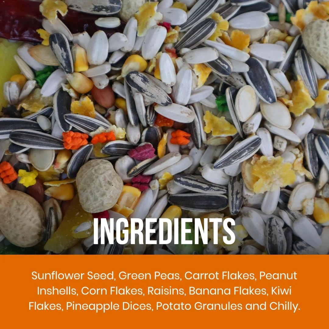 غذای پرنده ممتاز ۳ کیلوگرمی Brandsfinity برای طوطی ها – دانه های آفتابگردان، بادام زمینی، میوه های خشک و پلت ها – غذای مغذی پرنده برای طوطی ها، ایده آل برای یک رژیم غذایی سالم غذای پرنده ممتاز ۳ کیلوگرمی Brandsfinity برای طوطی ها – دانه های آفتابگردان، بادام زمینی، میوه های خشک و پلت ها – غذای مغذی پرنده برای طوطی ها، ایده آل برای یک رژیم غذایی سالم