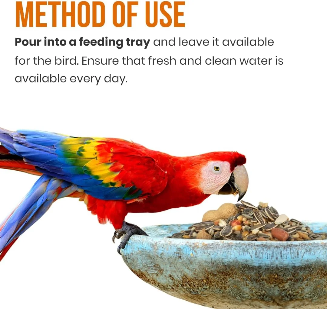 غذای پرنده ممتاز ۳ کیلوگرمی Brandsfinity برای طوطی ها – دانه های آفتابگردان، بادام زمینی، میوه های خشک و پلت ها – غذای مغذی پرنده برای طوطی ها، ایده آل برای یک رژیم غذایی سالم غذای پرنده ممتاز ۳ کیلوگرمی Brandsfinity برای طوطی ها – دانه های آفتابگردان، بادام زمینی، میوه های خشک و پلت ها – غذای مغذی پرنده برای طوطی ها، ایده آل برای یک رژیم غذایی سالم