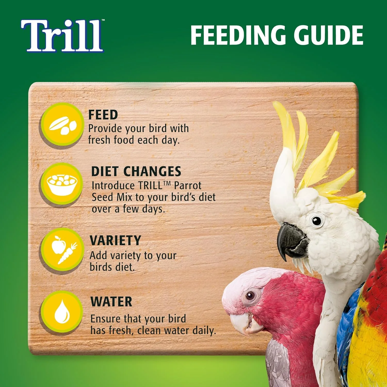 مخلوط دانه طوطی تریل 1 کیلوگرمی، غذای پرنده، دانه پرنده طوطی، ترکیبی متعادل از دانه های مغذی، غذای کامل پرنده مخلوط دانه طوطی تریل 1 کیلوگرمی، غذای پرنده، دانه پرنده طوطی، ترکیبی متعادل از دانه های مغذی، غذای کامل پرنده