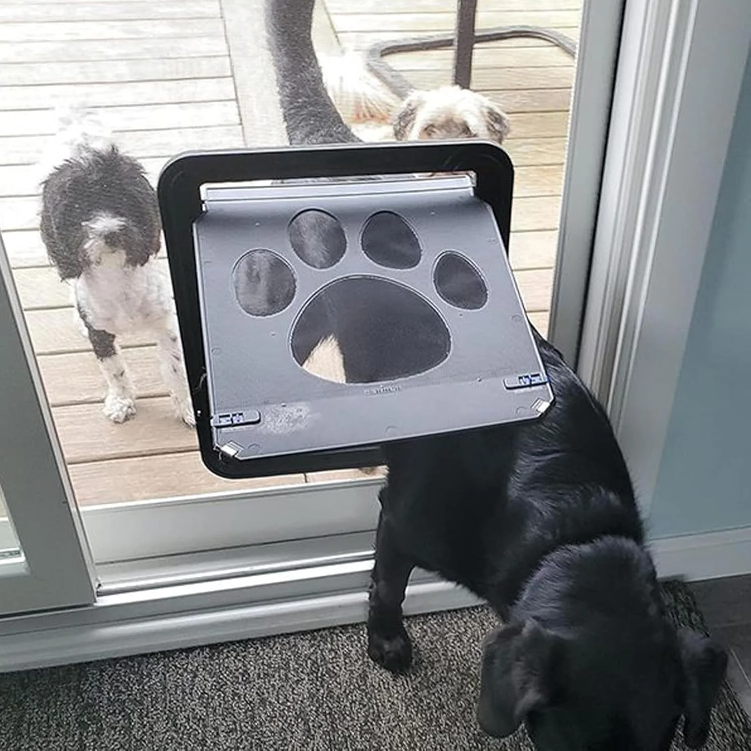 درب توری حیوانات خانگی - درب توری مغناطیسی برای توری، درب ایمنی قفلدار اتوماتیک حیوانات برای آشپزخانه، اتاق خواب، پاسیو، توله سگ و بچه گربه درب توری حیوانات خانگی - درب توری مغناطیسی برای توری، درب ایمنی قفلدار اتوماتیک حیوانات برای آشپزخانه، اتاق خواب، پاسیو، توله سگ و بچه گربه