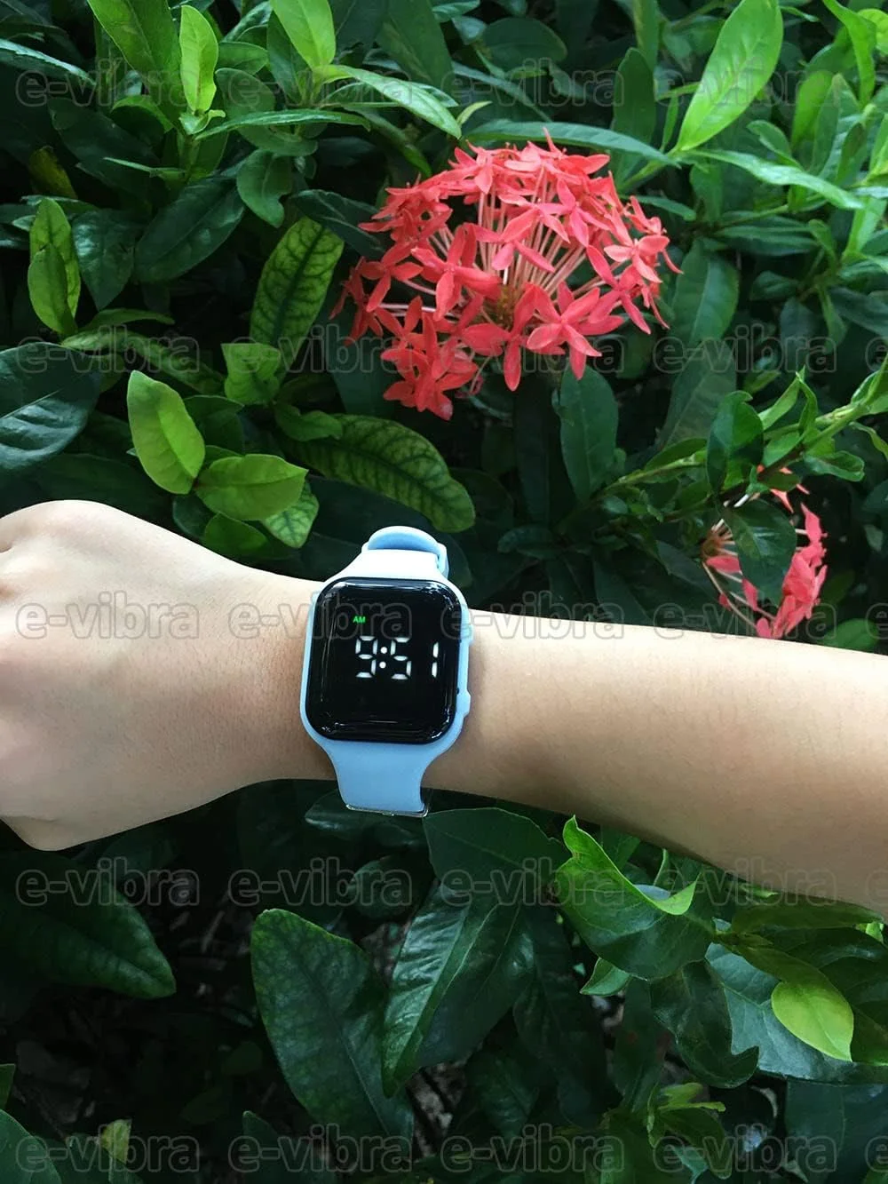 ساعت زنگ دار لرزشی، ساعت یادآوری پزشکی مقاوم در برابر آب با تایمر (آبی روشن) ساعت زنگ دار لرزشی، ساعت یادآوری پزشکی مقاوم در برابر آب با تایمر (آبی روشن)