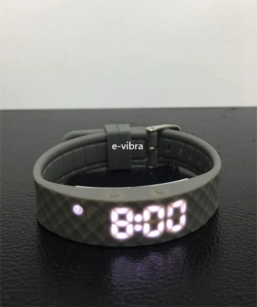 ساعت یادآوری کننده ویبره ای - ساعت ویبره ای بی صدا قابل شارژ - ساعت یادآوری پزشکی - با تایمر و 15 زنگ هشدار روزانه (خاکستری - بزرگ) ساعت یادآوری کننده ویبره ای - ساعت ویبره ای بی صدا قابل شارژ - ساعت یادآوری پزشکی - با تایمر و 15 زنگ هشدار روزانه (خاکستری - بزرگ)