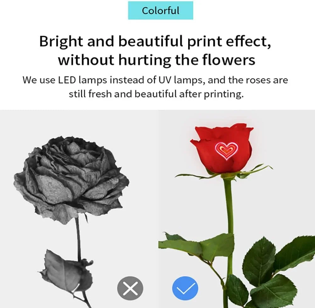 چاپگر سه بعدی PUFYA، کنترل با اپلیکیشن تلفن هوشمند، چاپگر گل DIY، چاپگر رز، اتصال وای فای، سفارشی سازی عکس های معنادار و تصاویر مورد علاقه به سبک گل منحصر به فرد شما چاپگر سه بعدی PUFYA، کنترل با اپلیکیشن تلفن هوشمند، چاپگر گل DIY، چاپگر رز، اتصال وای فای، سفارشی سازی عکس های معنادار و تصاویر مورد علاقه به سبک گل منحصر به فرد شما