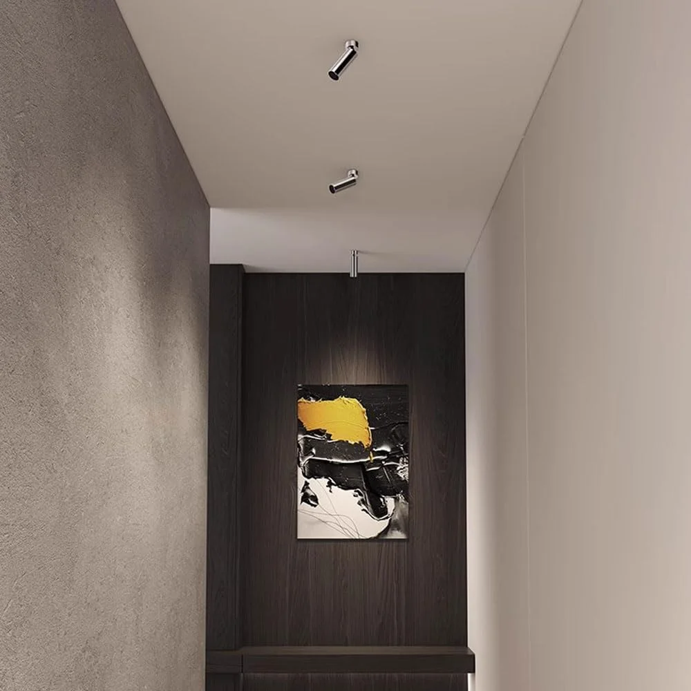 ست دو عددی چراغ سقفی قابل تنظیم نقره ای 10 وات با نور 3000K، چراغ های متمرکز چرخشی 360 درجه + 90 درجه، مناسب برای گالری، روشنایی تصاویر و آثار هنری