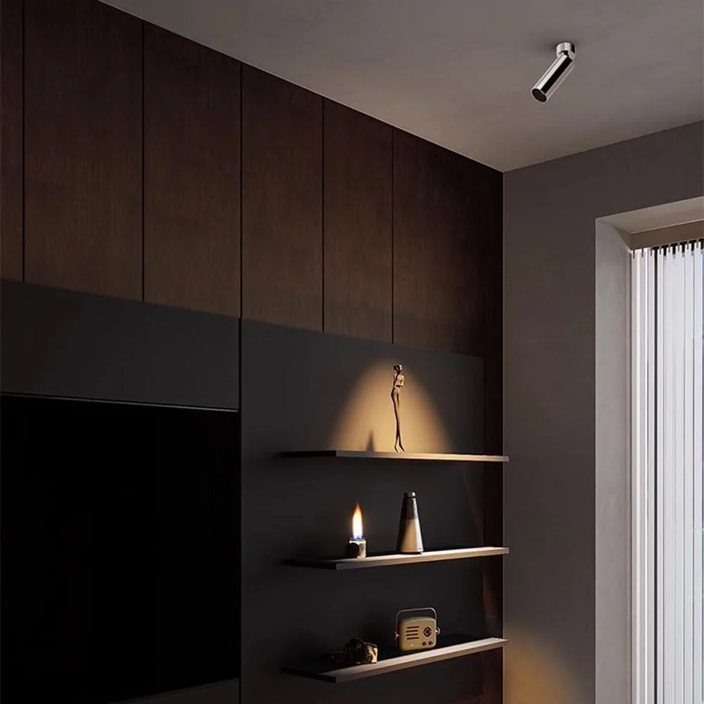 ست دو عددی چراغ سقفی قابل تنظیم نقره ای 10 وات با نور 3000K، چراغ های متمرکز چرخشی 360 درجه + 90 درجه، مناسب برای گالری، روشنایی تصاویر و آثار هنری