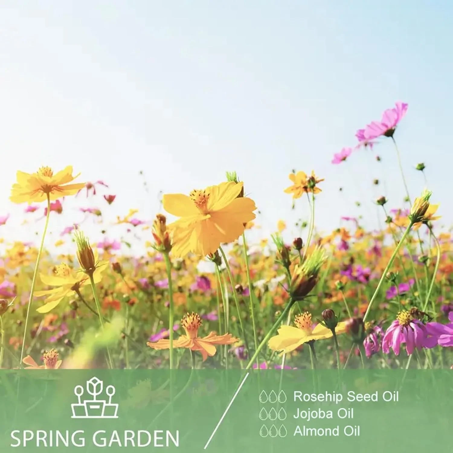 روغن گل رز 30 میلی لیتر - روغن دانه گل رز ارگانیک، آبرسان و مغذی برای پوست، مو و ناخن. پرس سرد و تصفیه نشده، مناسب برای انواع پوست و مو