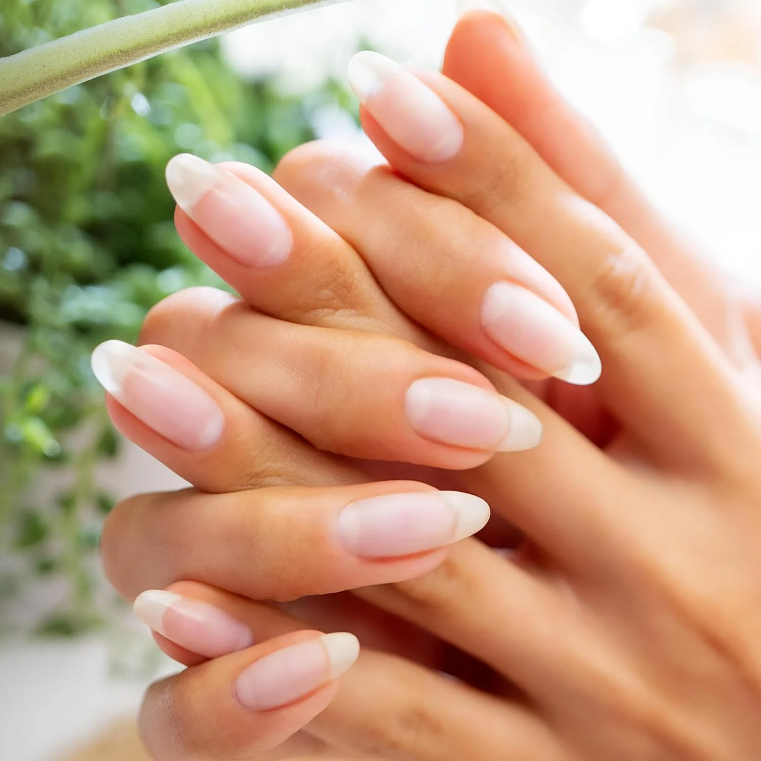 روغن مغذی ناخن و کوتیکول ژلیش مینی - مرطوب کننده کوتیکول