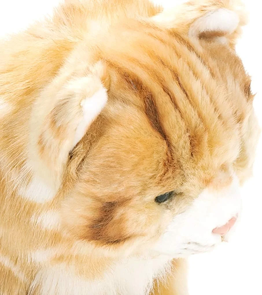 عروسک گربه بزرگ مین کون راه راه زنجبیلی دمداکو، اسباب بازی پولیشی و نرم کودکان عروسک گربه بزرگ مین کون راه راه زنجبیلی دمداکو، اسباب بازی پولیشی و نرم کودکان