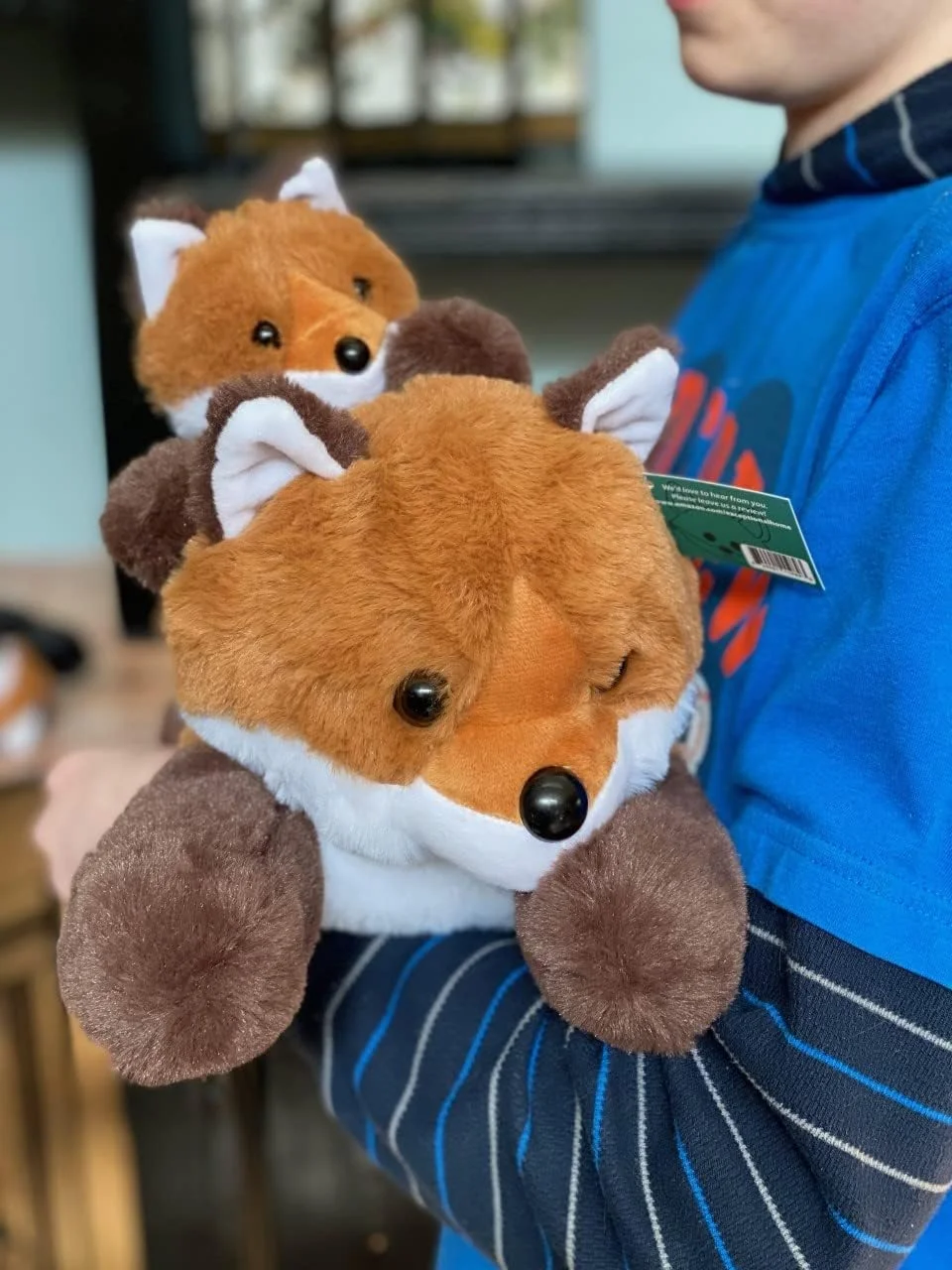 روباه های خانه ای فوق العاده - حیوانات عروسکی نرم و لطیف - ست هدیه اسباب بازی روباه مادر و بچه - هدیه شادی