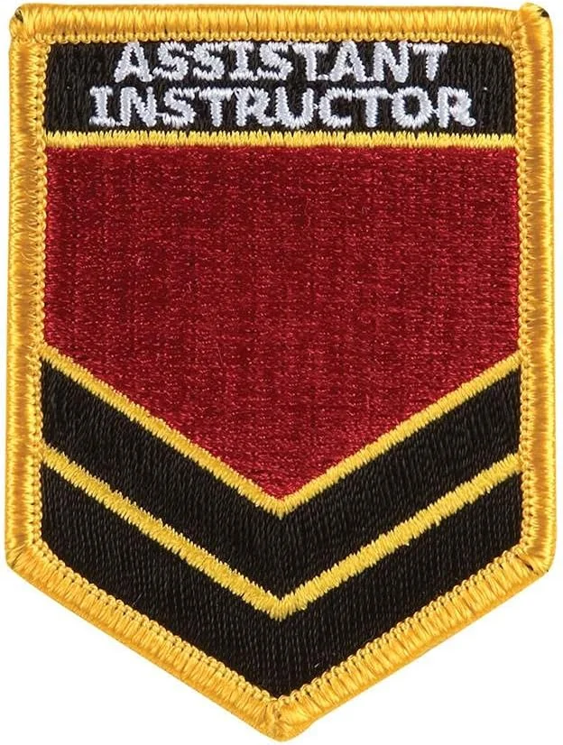 نشان های گلدوزی هنرهای رزمی PLAYWELL - نشان شانه مربی دستیار، مشکی، سایز آزاد