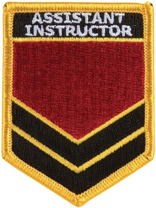 نشان گلدوزی شده هنرهای رزمی Playwell - پچ شانه دستیار مربی