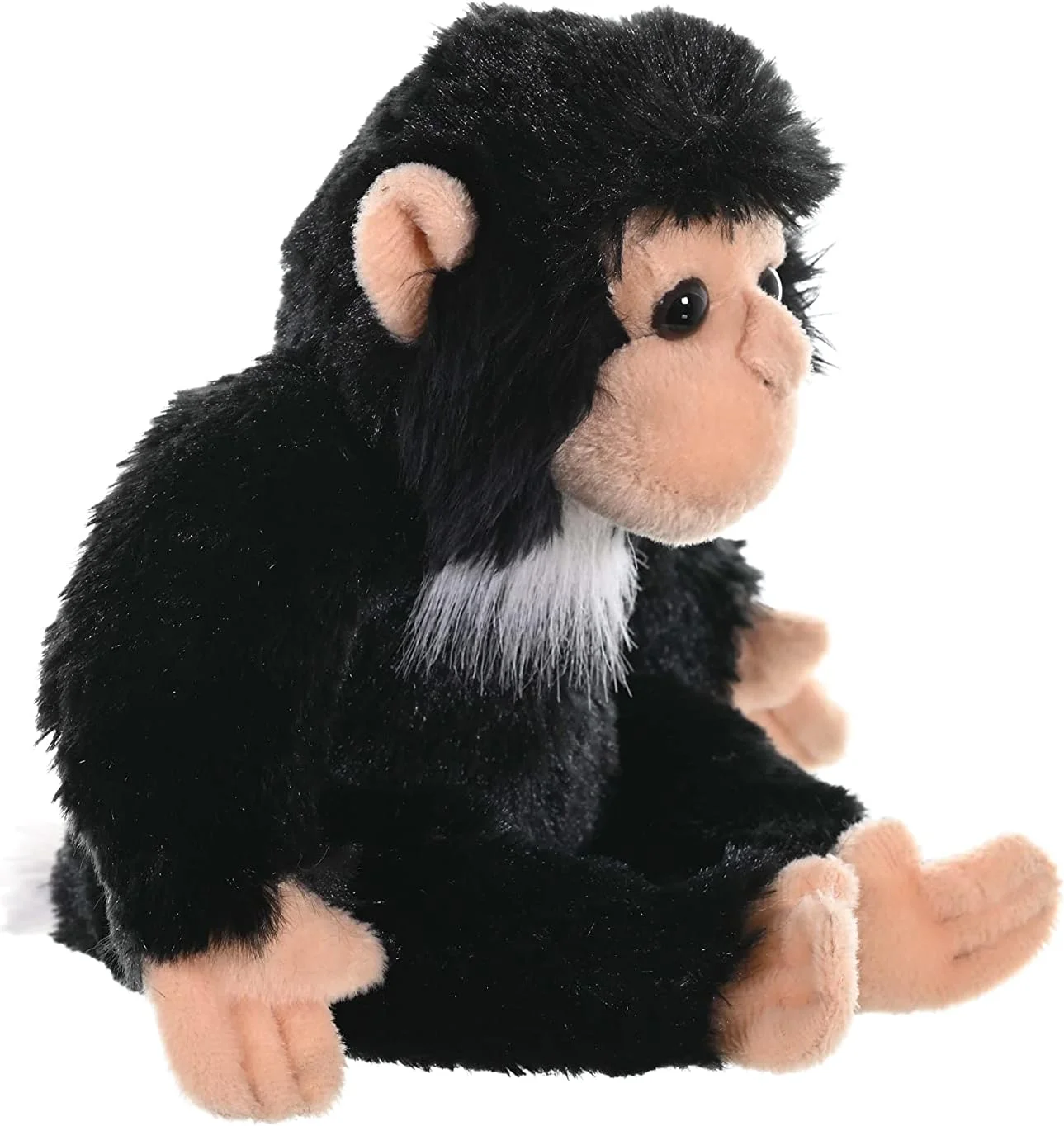 عروسک بچه شامپانزه وایلد ریپابلیک، حیوان پولیشی، اسباب بازی پولیشی، هدیه برای کودکان، کالکشن Cuddlekins، سایز 8 اینچ عروسک بچه شامپانزه وایلد ریپابلیک، حیوان پولیشی، اسباب بازی پولیشی، هدیه برای کودکان، کالکشن Cuddlekins، سایز 8 اینچ