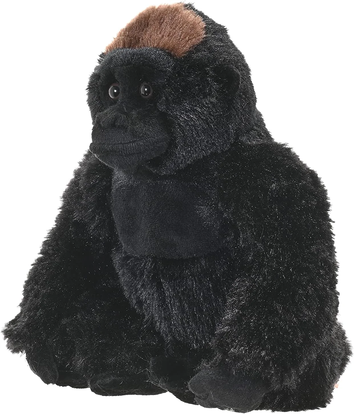 عروسک گوریل پشت نقره ای وایلد ریپابلیک، حیوان پولیشی، اسباب بازی پولیشی، هدیه برای کودکان، کالکشن Cuddlekins، 12 اینچ عروسک گوریل پشت نقره ای وایلد ریپابلیک، حیوان پولیشی، اسباب بازی پولیشی، هدیه برای کودکان، کالکشن Cuddlekins، 12 اینچ
