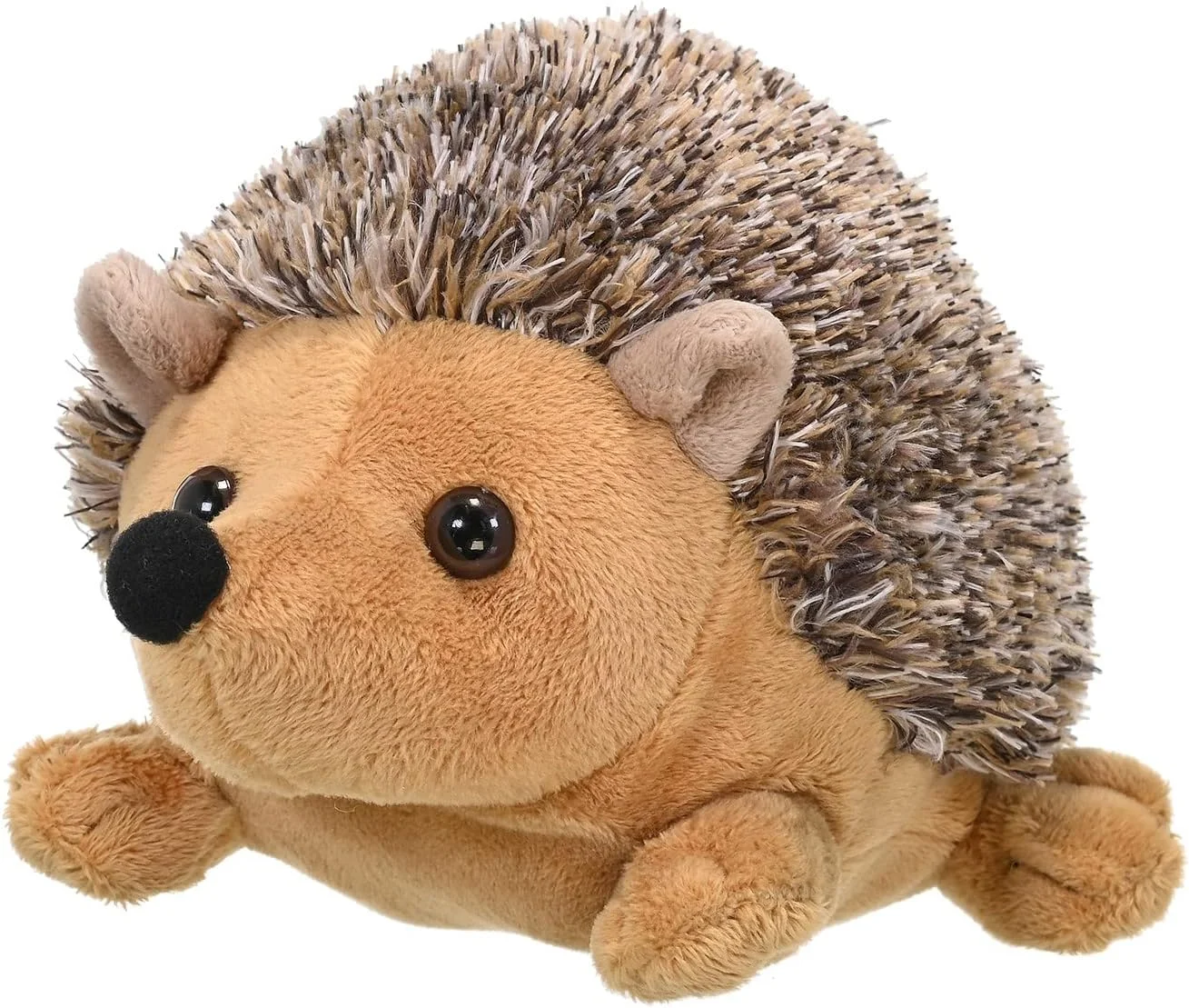 عروسک پولیشی جوجه تیغی وایلد ریپابلیک، حیوان عروسکی، اسباب بازی پولیشی، هدیه برای کودکان، کالکشن Cuddlekins، 8 اینچ، چند رنگ (13430) عروسک پولیشی جوجه تیغی وایلد ریپابلیک، حیوان عروسکی، اسباب بازی پولیشی، هدیه برای کودکان، کالکشن Cuddlekins، 8 اینچ، چند رنگ (13430)