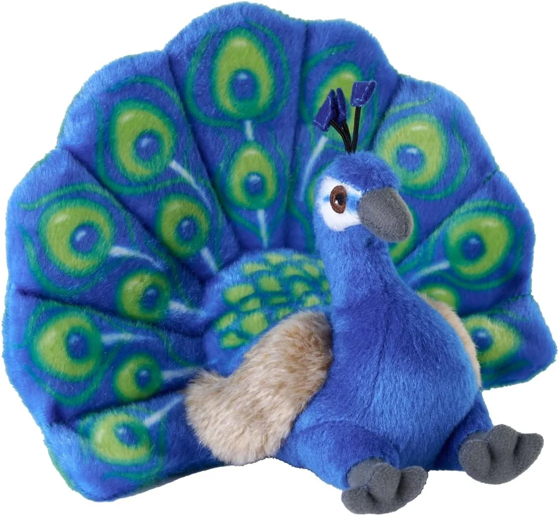 طاووس مینیاتوری آغوشی و مهربان وایلد ریپابلیک، حیوان پر شده، 8 اینچ، اسباب بازی پولیشی، پر شده از بطری های آب بازیافتی ریسیده شده، دوستدار محیط زیست