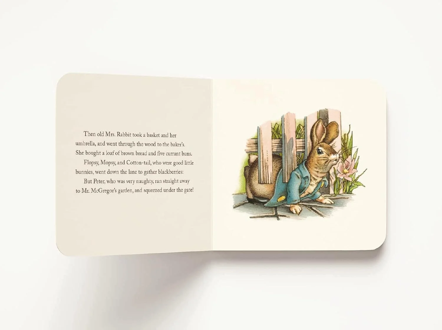 مجموعه هدیه خرگوش پیتر: شامل کتاب تخته ای نسخه کلاسیک + اسباب بازی خرگوش پولیشی مجموعه هدیه خرگوش پیتر: شامل کتاب تخته ای نسخه کلاسیک + اسباب بازی خرگوش پولیشی