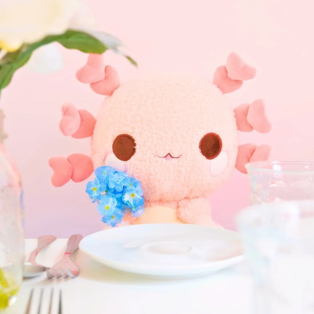 Cuddle Barn PlushGoals - Lottie The Lovely Axolotl | عروسک پولیشی فوق العاده نرم و زیبا، 23 سانتی متر Cuddle Barn PlushGoals - Lottie The Lovely Axolotl | عروسک پولیشی فوق العاده نرم و زیبا، 23 سانتی متر