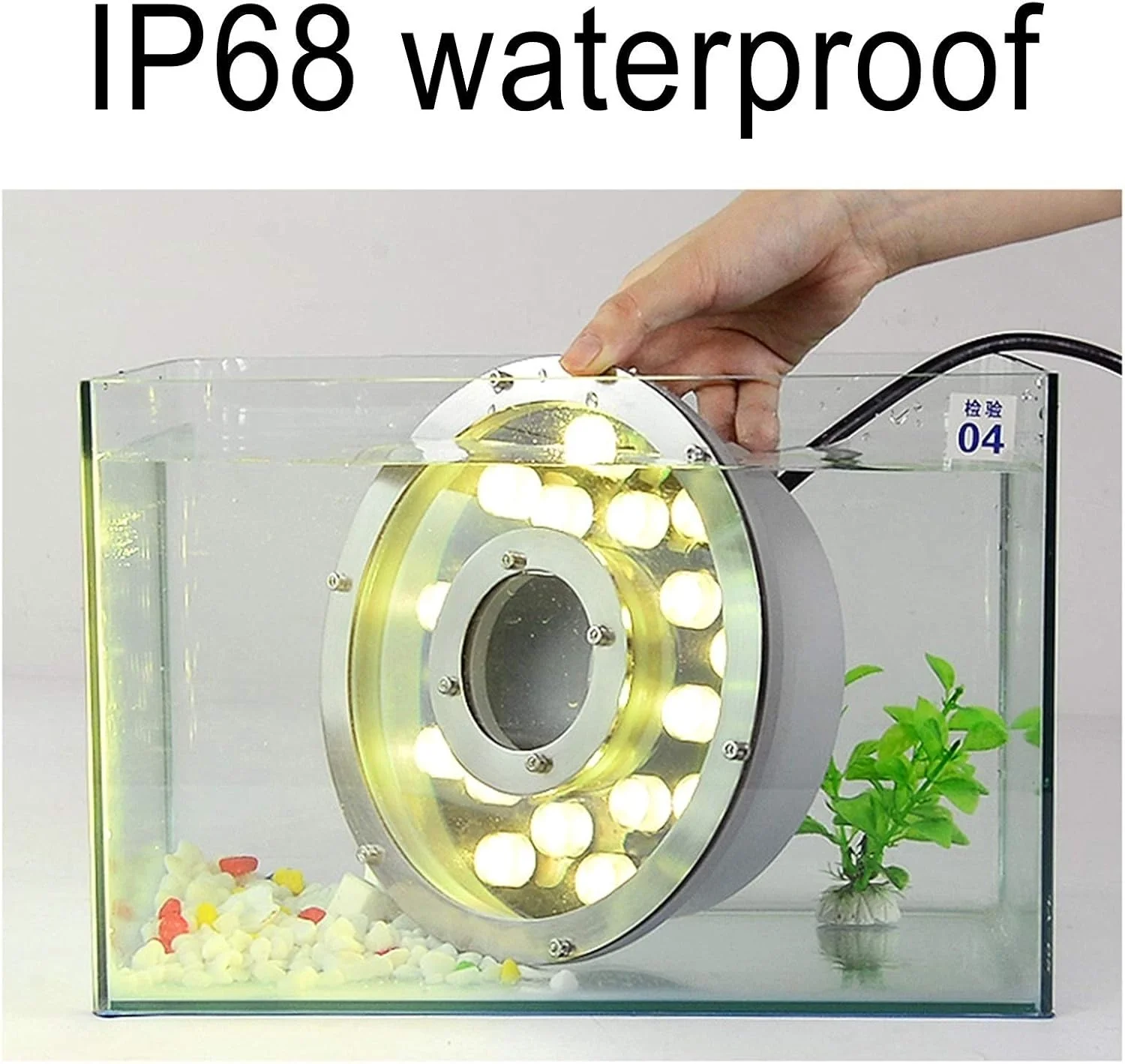 چراغ فواره حلقه ای LED، نورافکن منظره زیر آب غوطه ور سوراخ میانی 12 ولت/24 ولت IP68 برای استخر فواره باغ (قرمز، 12 وات (24 ولت)) چراغ فواره حلقه ای LED، نورافکن منظره زیر آب غوطه ور سوراخ میانی 12 ولت/24 ولت IP68 برای استخر فواره باغ (قرمز، 12 وات (24 ولت))