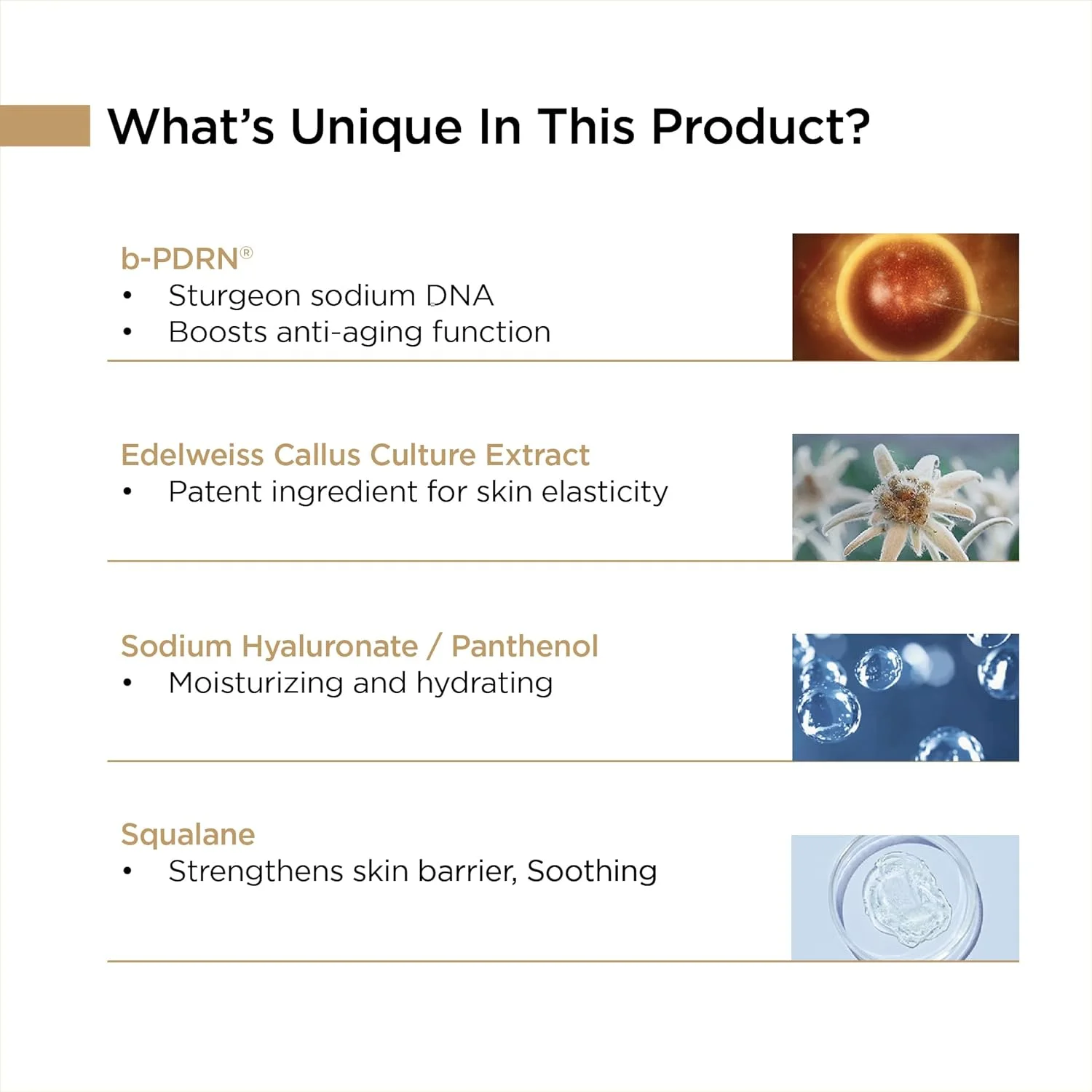 کرم دور چشم احیا کننده و حیاتی ضد پیری بانوباجی - کرم آبرسان زیر چشم برای تیرگی، چروک و پف | bPDRN، سدیم هیالورونات، اسکوالان، عصاره گل ادلوایس | 15 میلی لیتر