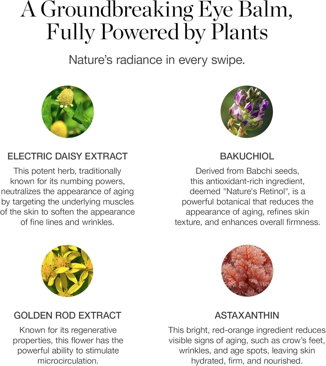 بالم دور چشم گیاهی اوجی - کرم دور چشم روشن کننده ارگانیک تایید شده برای تیرگی و پف - ساخته شده با جایگزین طبیعی رتینول و اسید هیالورونیک بالم دور چشم گیاهی اوجی - کرم دور چشم روشن کننده ارگانیک تایید شده برای تیرگی و پف - ساخته شده با جایگزین طبیعی رتینول و اسید هیالورونیک