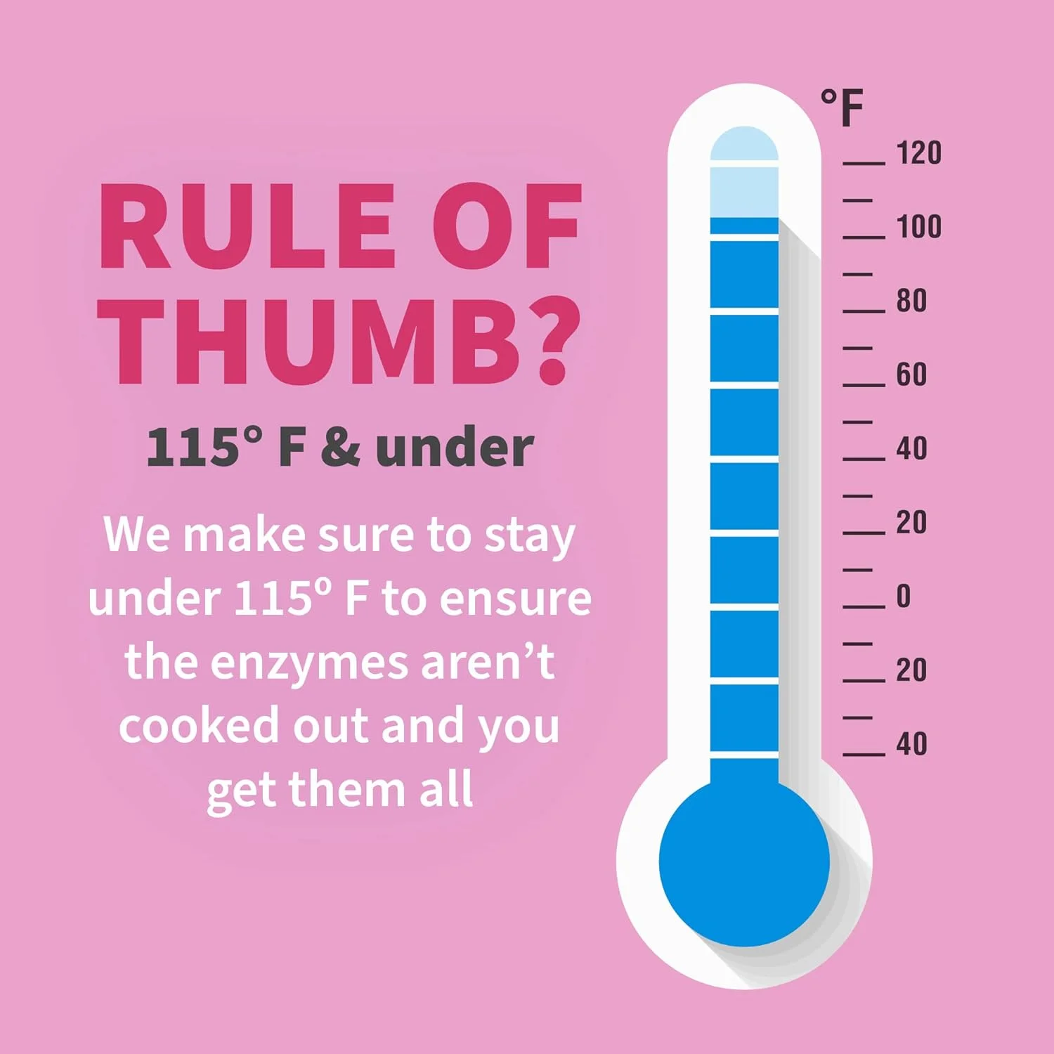 مکمل گیاهی گوارش Garden of Life برای زنان - آنزیم های خام برای هضم، نفخ، گاز و IBS، 90 کپسول