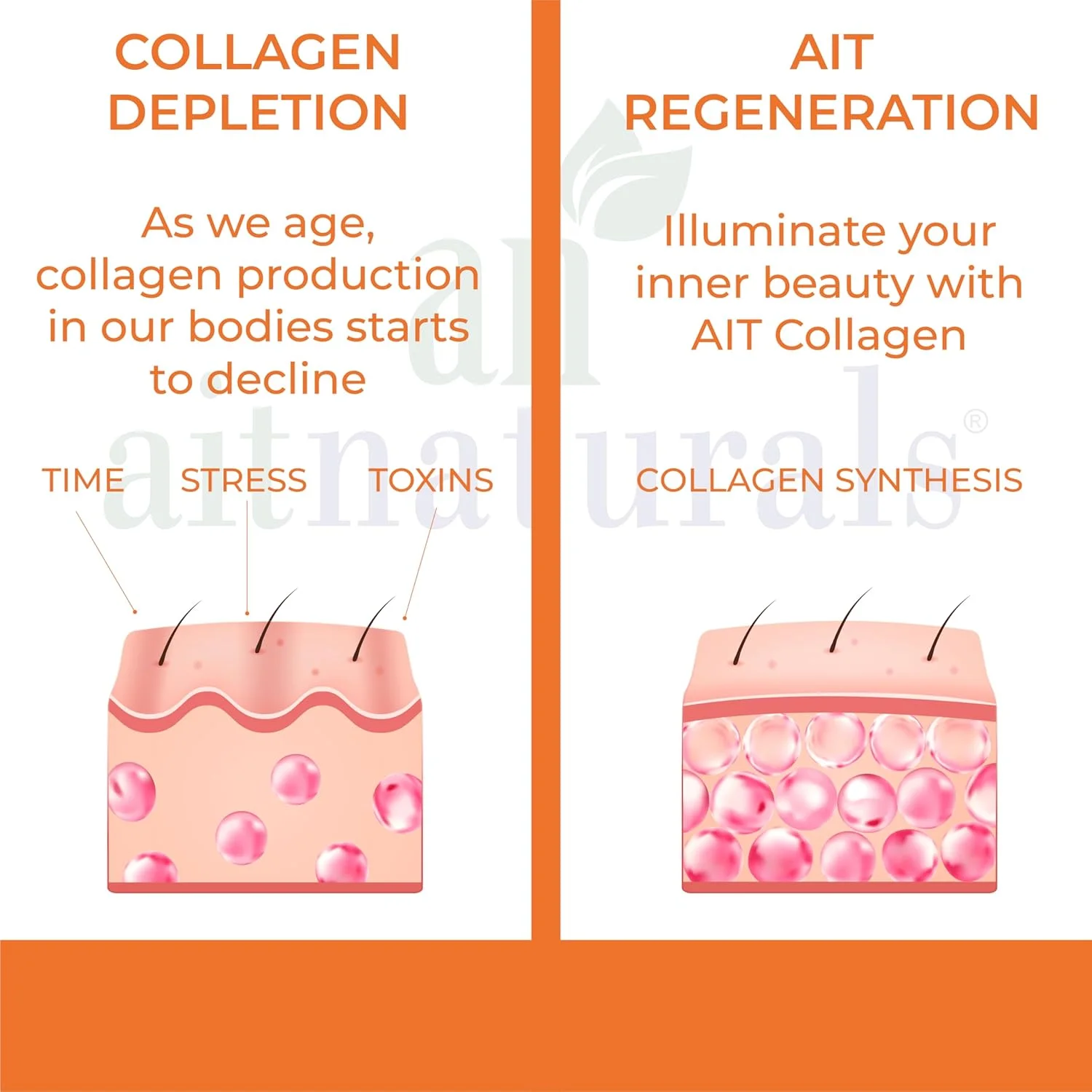 آیت نچرالز کلاژن دریایی 2500 میلی گرم (120 قرص) | غنی شده با اسید هیالورونیک، ویتامین C، بیوتین و سلنیوم | پشتیبانی از سلامت مو، استحکام پوست، ناخن ها و مفاصل قوی تر | غیر GMO، بدون گلوتن آیت نچرالز کلاژن دریایی 2500 میلی گرم (120 قرص) | غنی شده با اسید هیالورونیک، ویتامین C، بیوتین و سلنیوم | پشتیبانی از سلامت مو، استحکام پوست، ناخن ها و مفاصل قوی تر | غیر GMO، بدون گلوتن