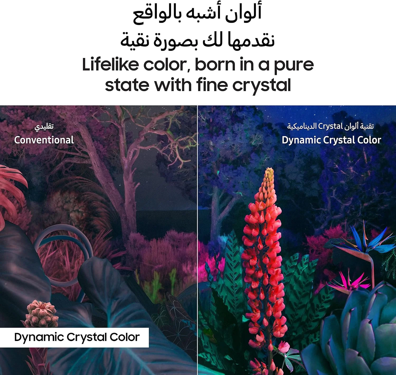 تلویزیون 85 اینچ سامسونگ کریستال UHD 4K پردازنده کریستال 4K ایر اسلیم رنگ کریستال پویا - UA85CU8000UXZN - مدل 2023 (نسخه امارات) تلویزیون 85 اینچ سامسونگ کریستال UHD 4K پردازنده کریستال 4K ایر اسلیم رنگ کریستال پویا - UA85CU8000UXZN - مدل 2023 (نسخه امارات)