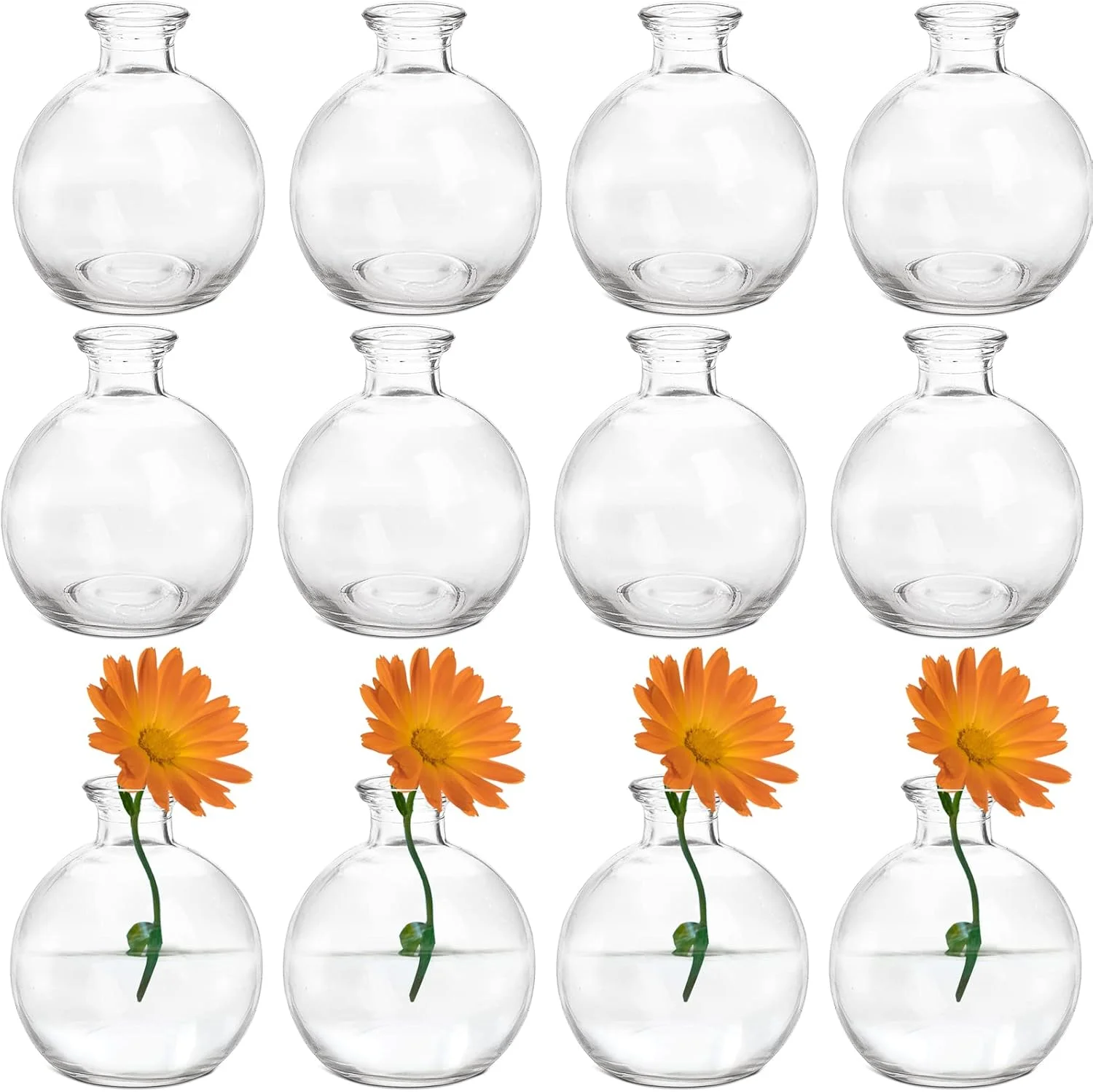 مجموعه 12 عددی گلدان شیشه ای توپی کوچک SOUJOY، گلدان گل نشسته کوتاه مینیاتوری منحصر به فرد، تزیینات گل شفاف برای دکوراسیون منزل، عروسی، چیدمان گل، مراسم، مهمانی ها مجموعه 12 عددی گلدان شیشه ای توپی کوچک SOUJOY، گلدان گل نشسته کوتاه مینیاتوری منحصر به فرد، تزیینات گل شفاف برای دکوراسیون منزل، عروسی، چیدمان گل، مراسم، مهمانی ها